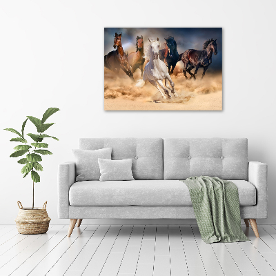 Acrylic wall art Horses at gallop