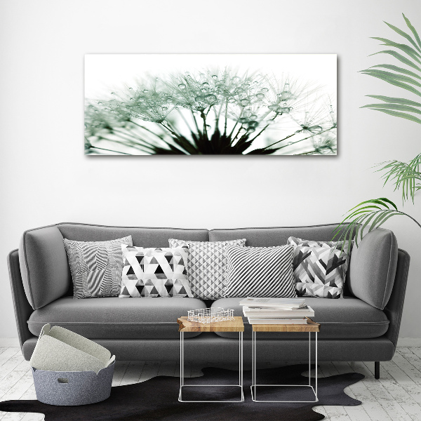 Print on acrylic Dandelion seeds