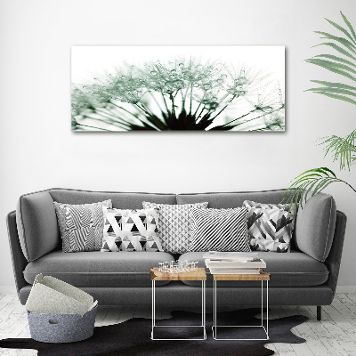 Print on acrylic Dandelion seeds