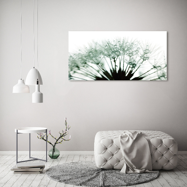 Print on acrylic Dandelion seeds