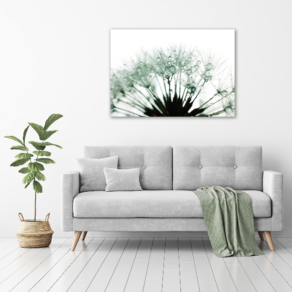 Print on acrylic Dandelion seeds