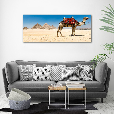 Acrylic wall art A camel in Cairo