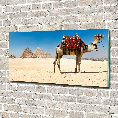 Acrylic wall art A camel in Cairo