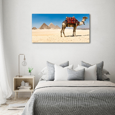 Acrylic wall art A camel in Cairo