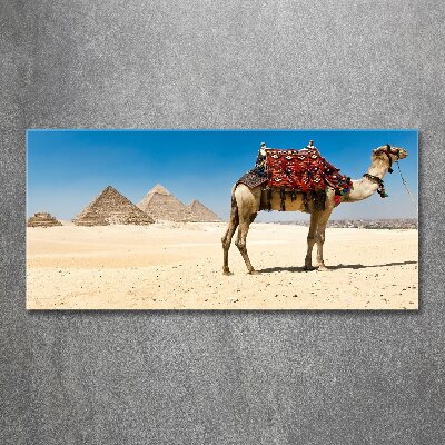 Acrylic wall art A camel in Cairo