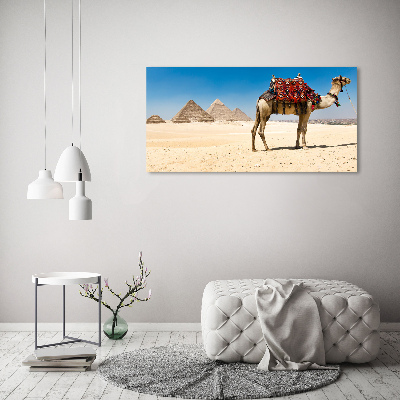 Acrylic wall art A camel in Cairo