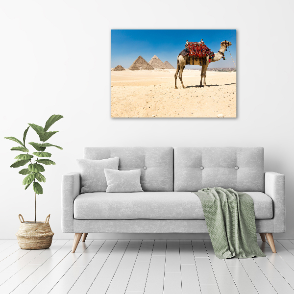 Acrylic wall art A camel in Cairo