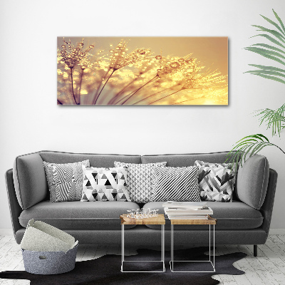 Print on acrylic Dandelion seeds