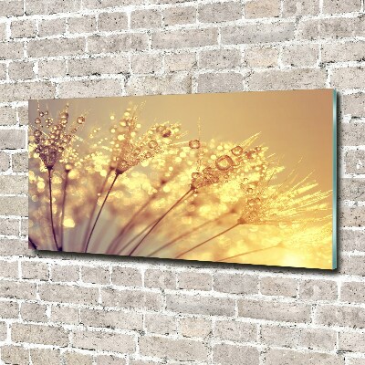 Print on acrylic Dandelion seeds