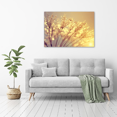 Print on acrylic Dandelion seeds