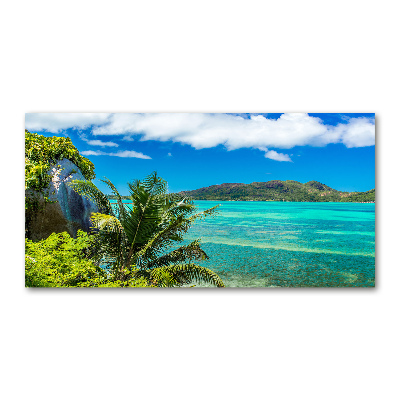 Wall art acrylic Seychelles coast