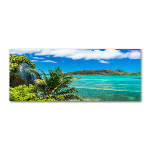 Wall art acrylic Seychelles coast