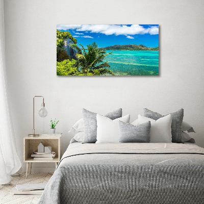 Wall art acrylic Seychelles coast