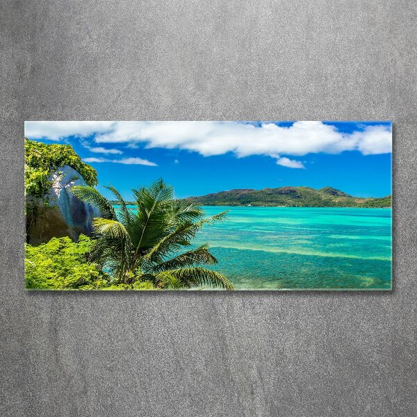 Wall art acrylic Seychelles coast