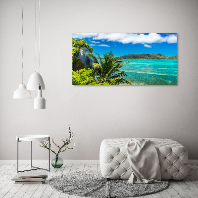 Wall art acrylic Seychelles coast