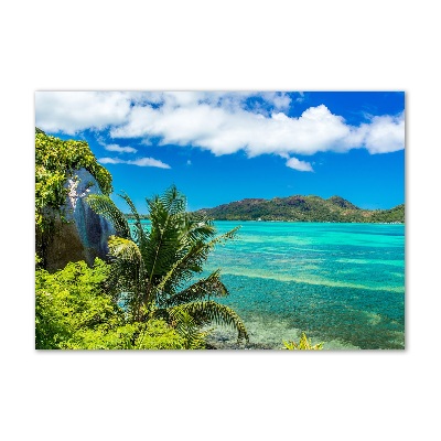 Wall art acrylic Seychelles coast