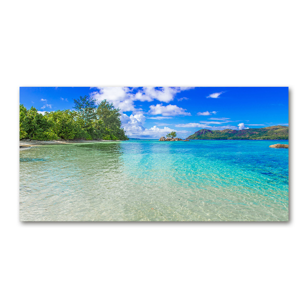 Wall art acrylic Seychelles beach