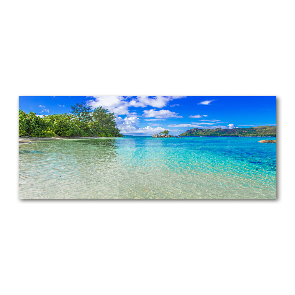 Wall art acrylic Seychelles beach