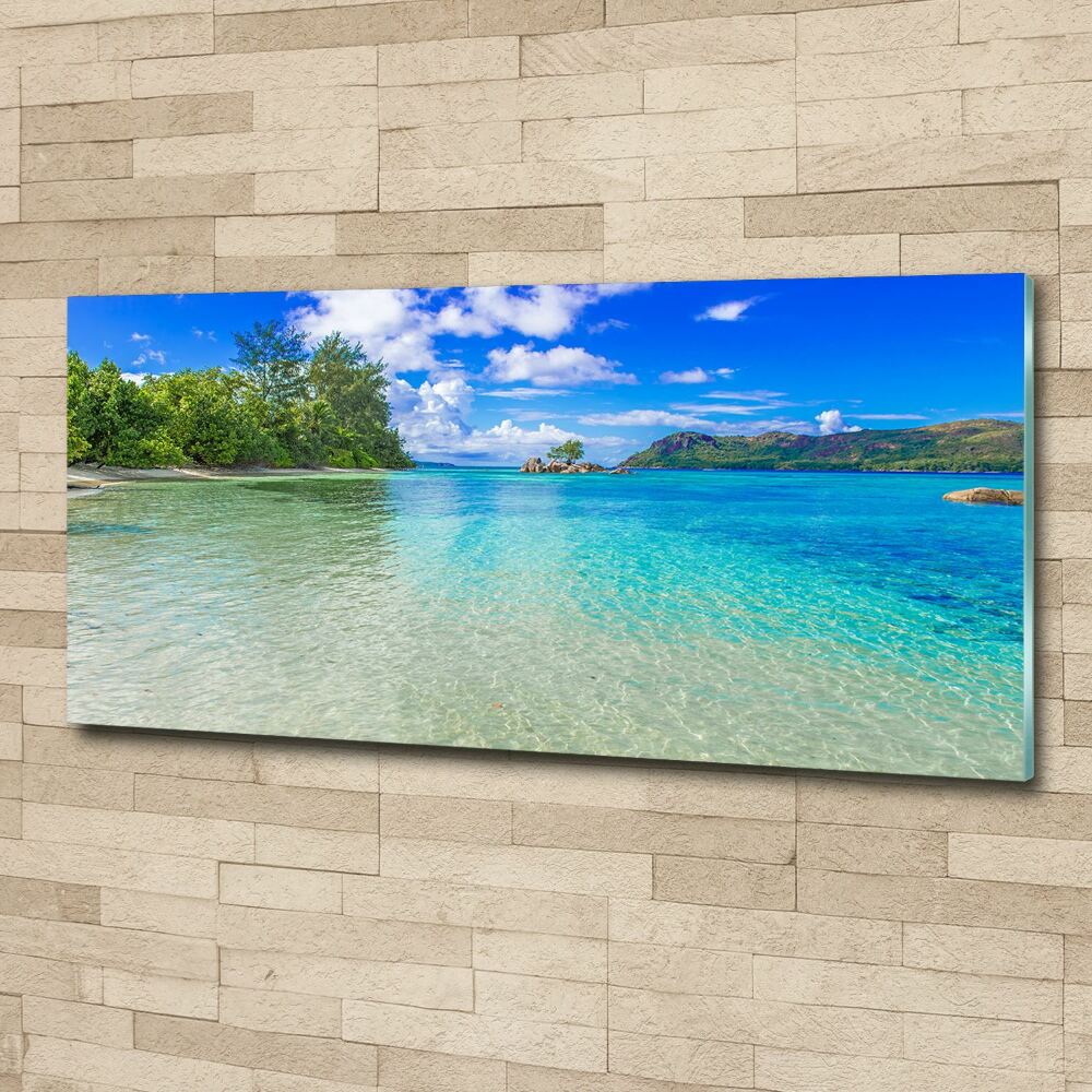 Wall art acrylic Seychelles beach