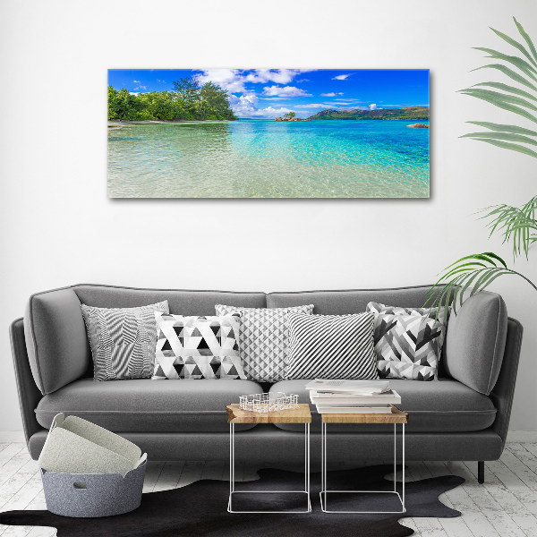 Wall art acrylic Seychelles beach