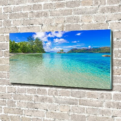 Wall art acrylic Seychelles beach