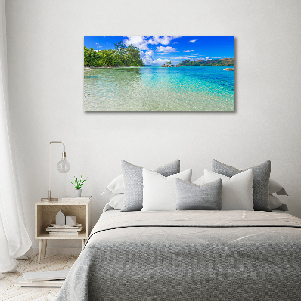 Wall art acrylic Seychelles beach