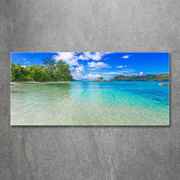 Wall art acrylic Seychelles beach