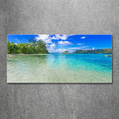 Wall art acrylic Seychelles beach