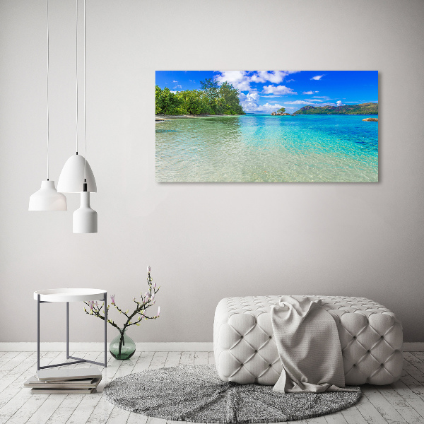 Wall art acrylic Seychelles beach