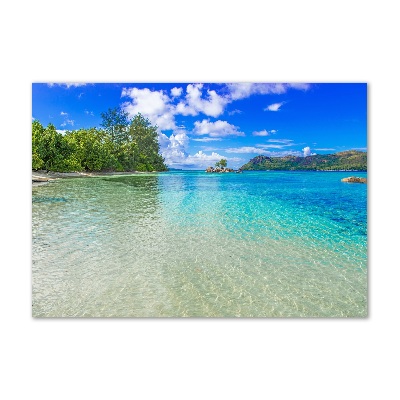 Wall art acrylic Seychelles beach