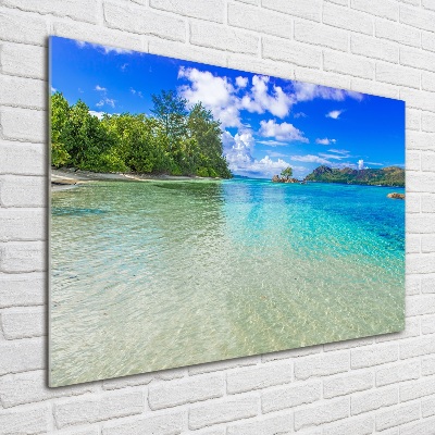 Wall art acrylic Seychelles beach