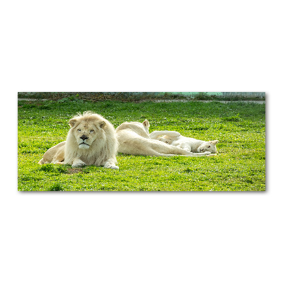 Wall art acrylic Beige lions