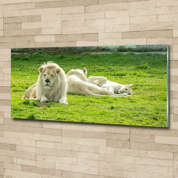 Wall art acrylic Beige lions