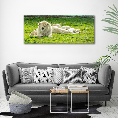 Wall art acrylic Beige lions