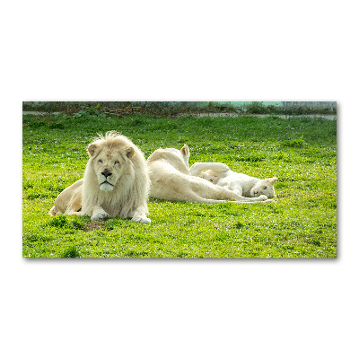 Wall art acrylic Beige lions