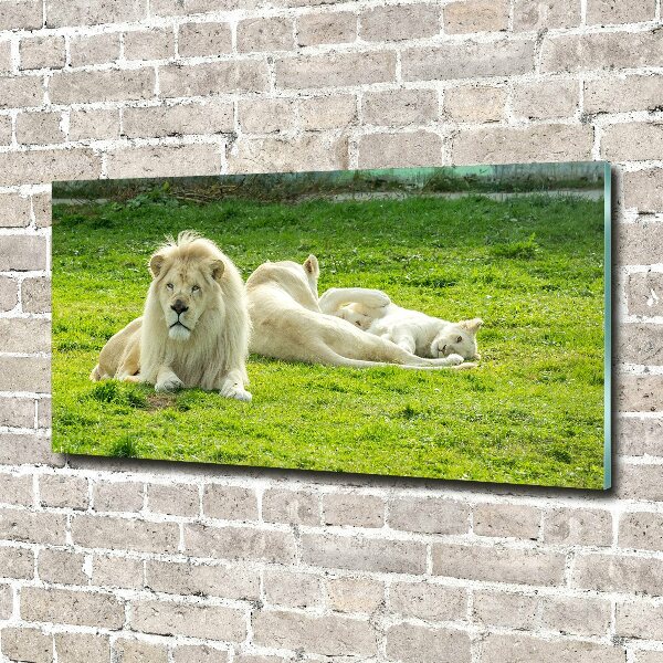 Wall art acrylic Beige lions