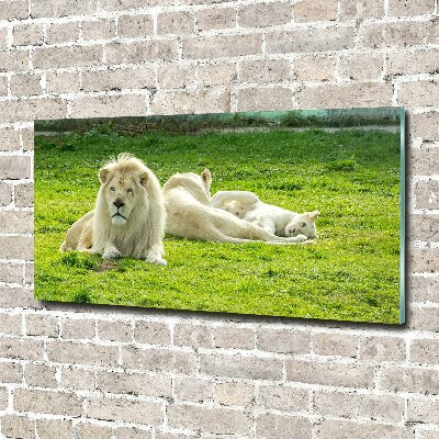 Wall art acrylic Beige lions