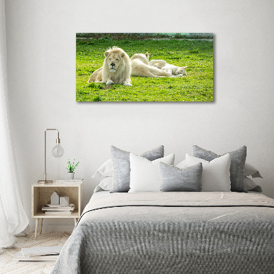 Wall art acrylic Beige lions