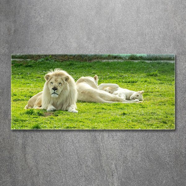 Wall art acrylic Beige lions