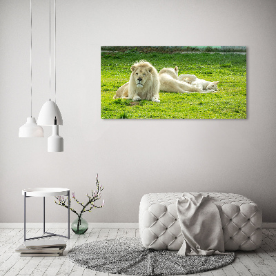 Wall art acrylic Beige lions