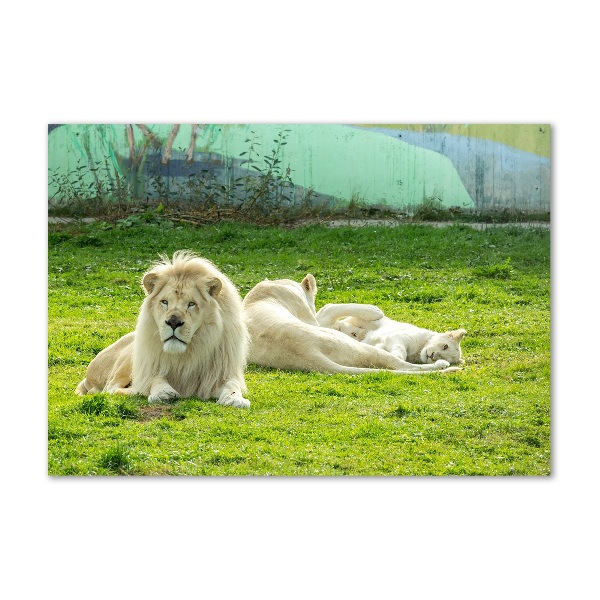 Wall art acrylic Beige lions