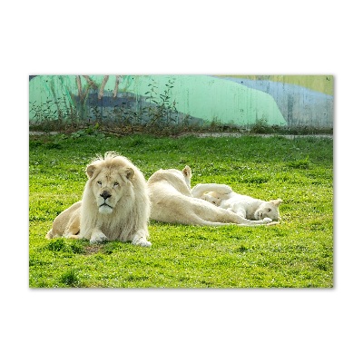 Wall art acrylic Beige lions