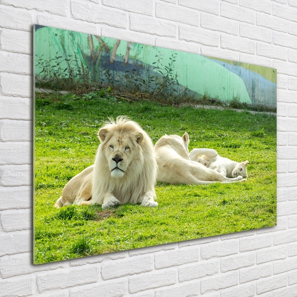 Wall art acrylic Beige lions