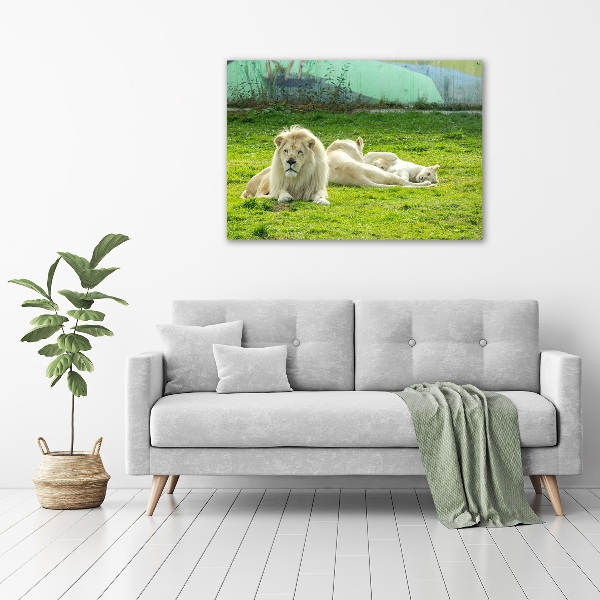 Wall art acrylic Beige lions