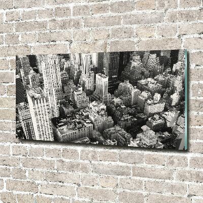 Wall art acrylic New York Bird Lot