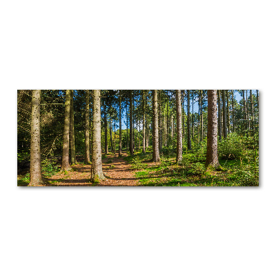 Wall art acrylic Panorama of the forest