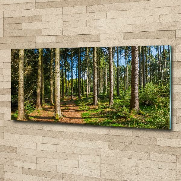 Wall art acrylic Panorama of the forest