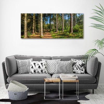 Wall art acrylic Panorama of the forest