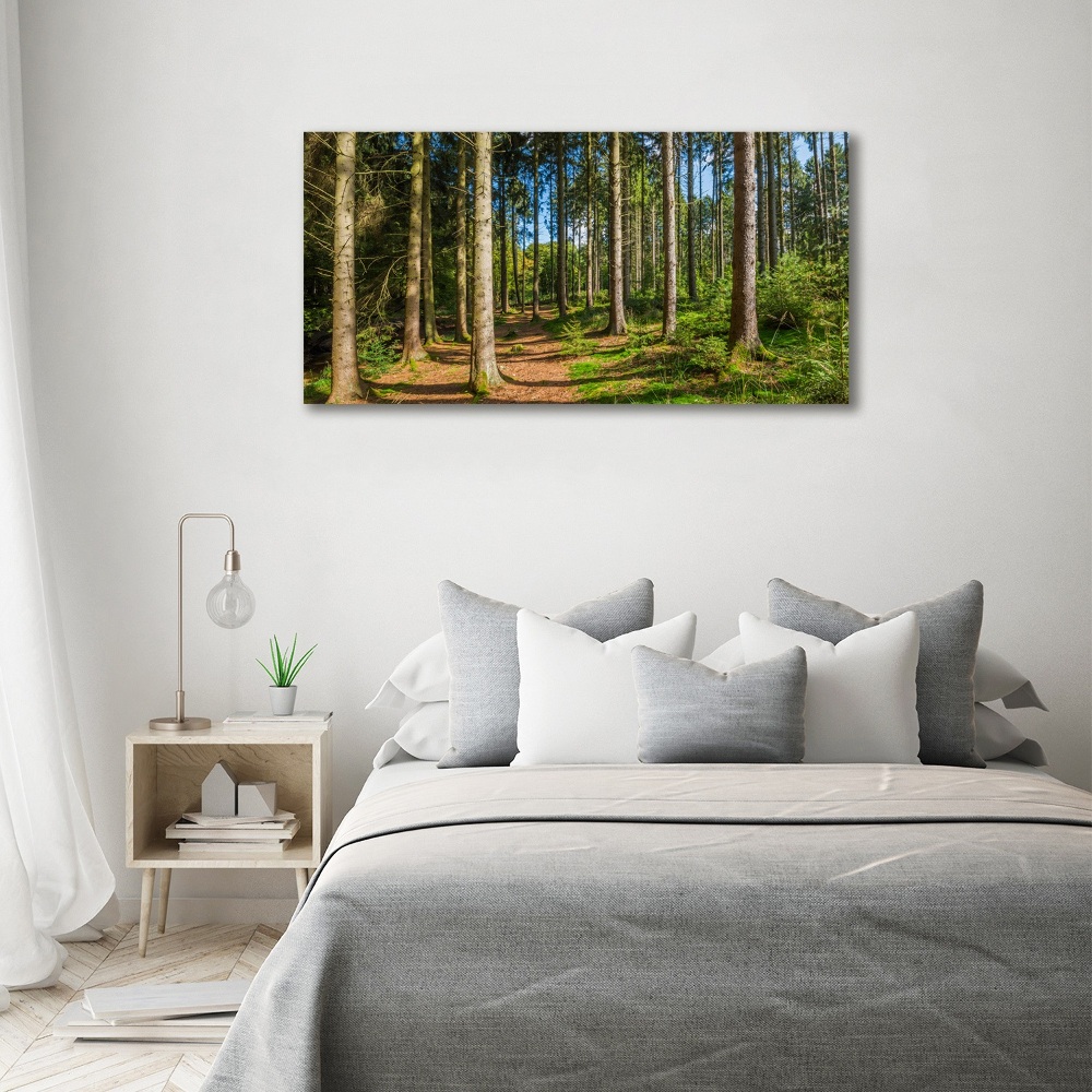 Wall art acrylic Panorama of the forest