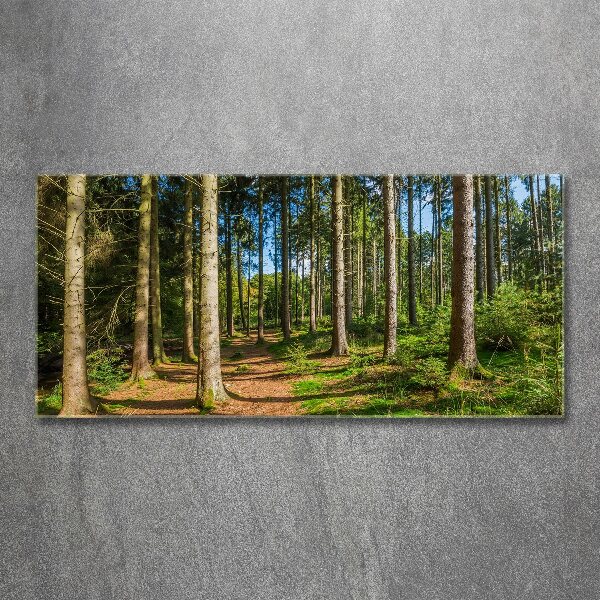 Wall art acrylic Panorama of the forest